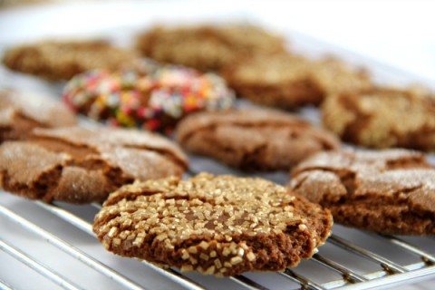 Cookie Contest winner! Sugar and Spice Cookie | Classic Molasses Spice Cookie Recipe | ShockinglyDelicious.com