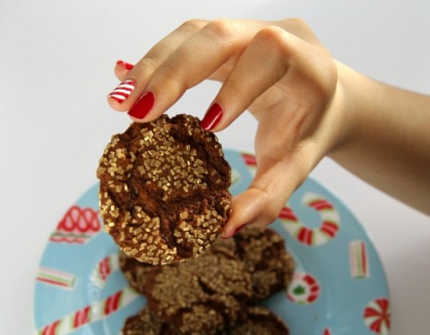Sugar and Spice Cookie | Classic Molasses Spice Cookie Recipe | ShockinglyDelicious.com