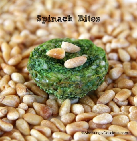 Spinach Bites | Spinach Parmesan Pine Nut Appetizer Recipe | ShockinglyDelicious.com