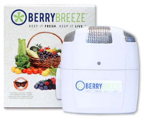 BerryBreeze fridge freshener on ShockinglyDelicious.com