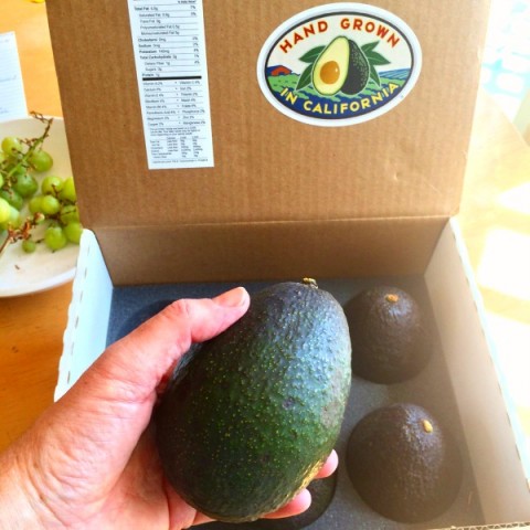 Box of avocados from CaliforniaAvocadosDirect.com