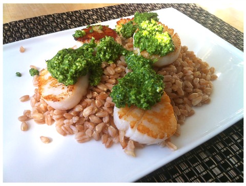 Kale Pesto on Scallops on the blog LBC Holly