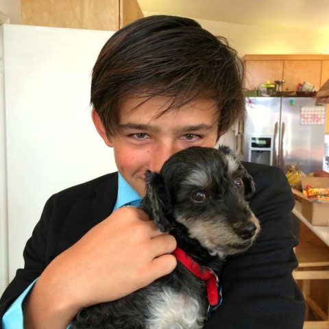 Nick and Kai the rescue dog May 2015