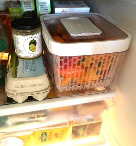 OXOGreenSaver in the refrigerator