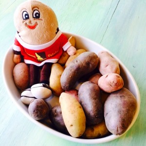 Spuddy Buddy in a jacuzzi of Idaho fingerling potatoes on ShockinglyDelicious.com Spuddy Buddy in a jacuzzi of Idaho fingerling potatoes on ShockinglyDelicious.com