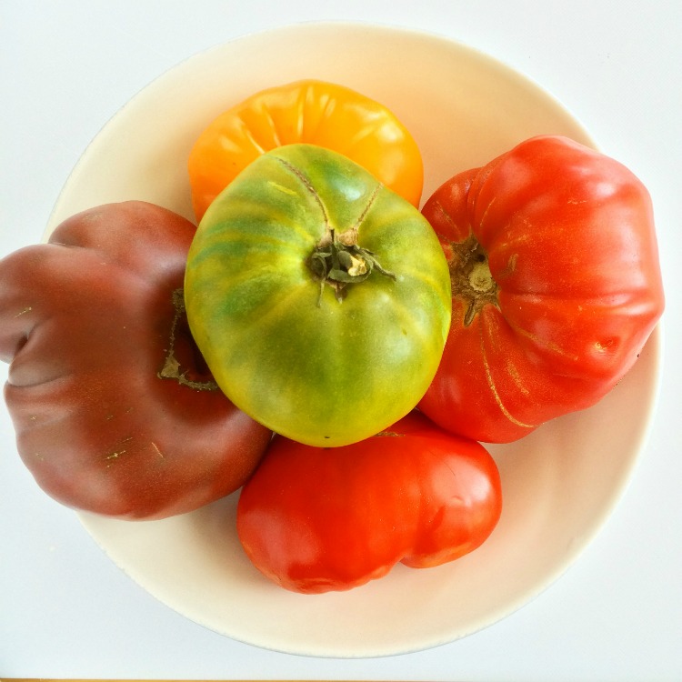 Heirloom tomatoes in a white bowl on ShockinglyDelicious.com