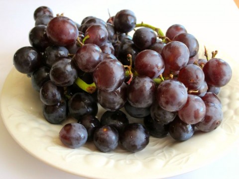 Introducing Jelly Drops Grapes | Delicious cross between Thompson Seedless and Concord Grape | ShockinglyDelicious.com