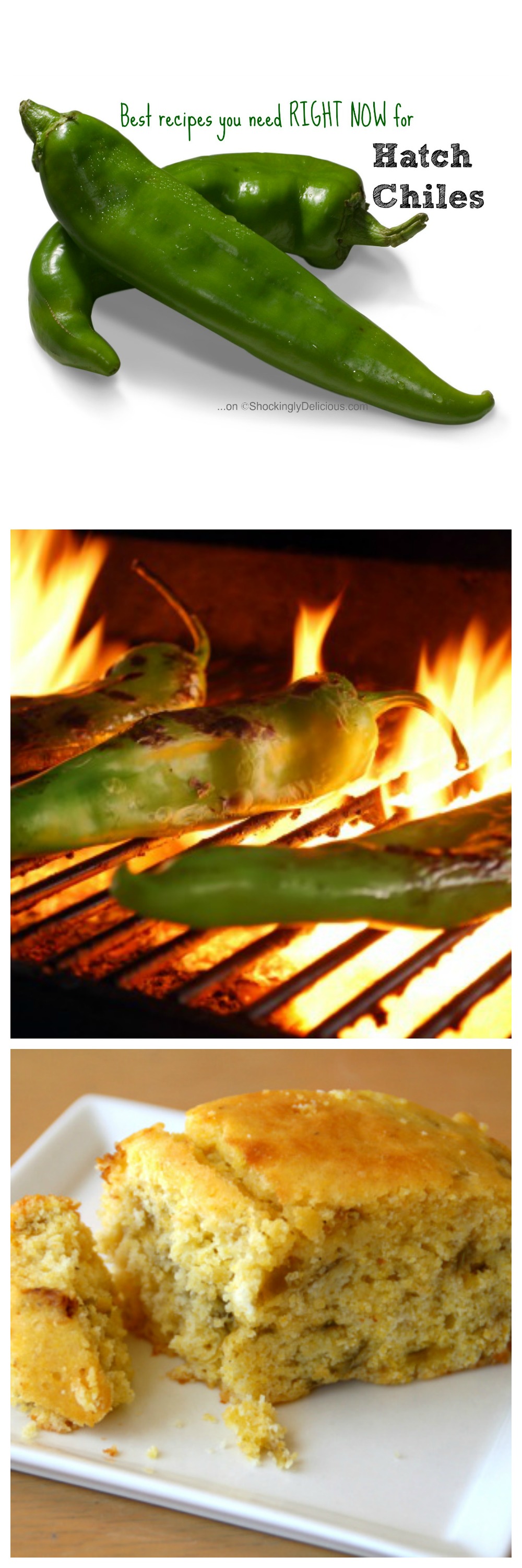 Best recipes you need right now for Hatch Chiles Best recipes you need right now for Hatch Chiles
