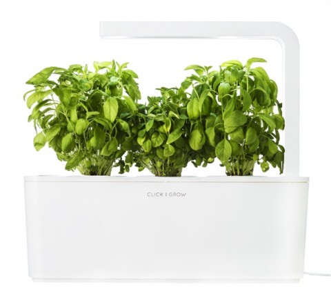 Smart Herb Garden by Click and Grow