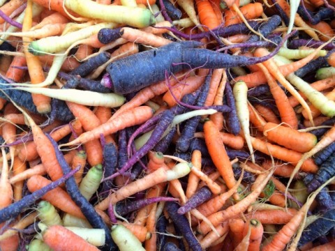 A tangle of fresh carrots at the farmers market on ShockinglyDelicious.com