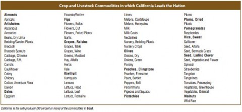 California leads the world in agricultural production