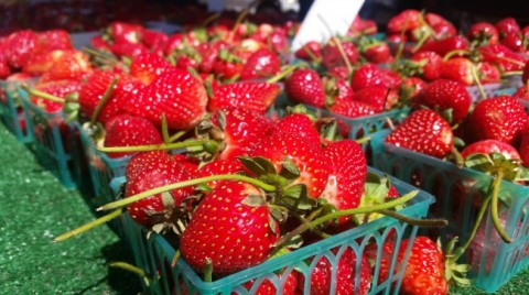 Fresh Strawberries at the farmers market on ShockinglyDelicious.com