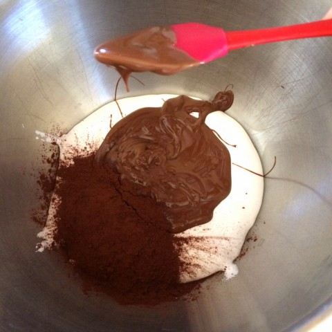 Cocoa and melted chocolate for No-Churn Fluffy Milk Chocolate Ice Cream on Shockingly Delicious.com