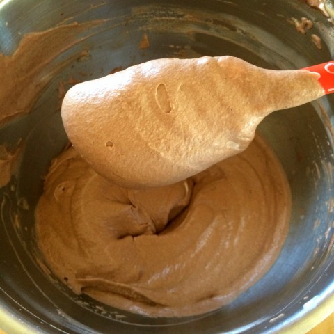 Mixture for No-Churn Fluffy Milk Chocolate Ice Cream on Shockingly Delicious.com