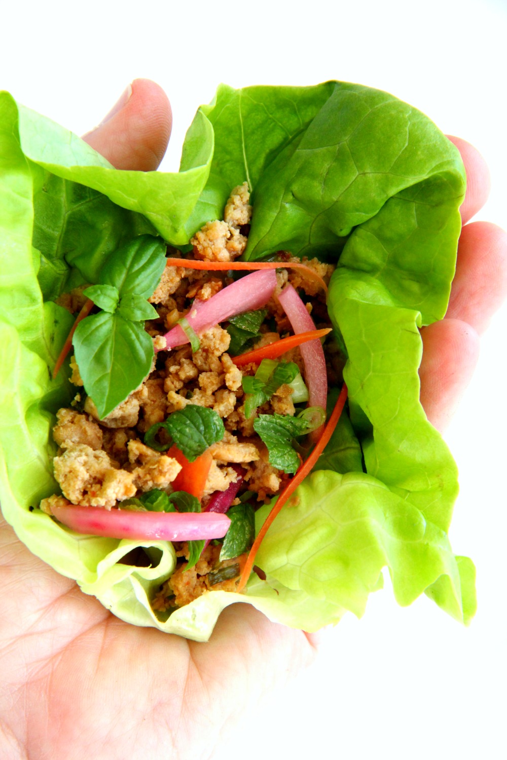 Thai Turkey Lettuce Wraps feature ground turkey flavored with fish sauce, soy sauce and lime juice, freshened with herbs and stuffed into a lettuce leaf for a low-carb meal. Serve it as a rice bowl for a heartier dinner. #shockinglydelicious #lowcarb #lettucewrap #turkeylarb low-carb-thai-inspired-turkey-lettuce-wraps-held in the palm of a hand