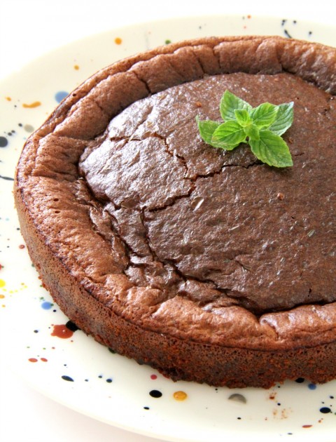 easy-2-ingredient-flourless-nutella-cake-on-shockinglydelicious-com