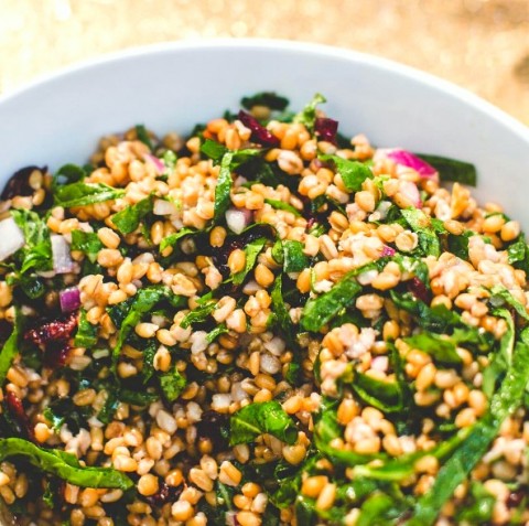 Kale and Spelt Berry Salad with Sweet Cranberries and Lemon Dressing recipe from Little Eater