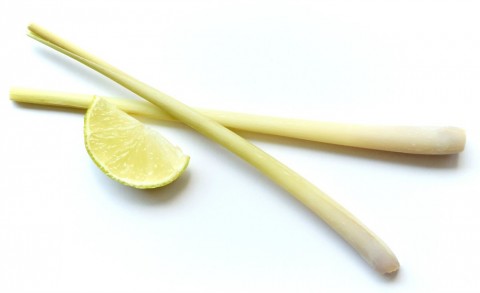 lemongrass stalks on ShockinglyDelicious.com