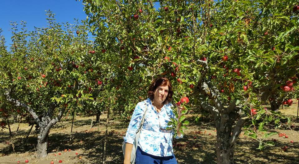 Dorothy Reinhold standing under and apple tree while apple picking in Oak Glen Calif