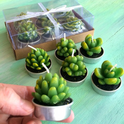 Realistic Succulent tea lights