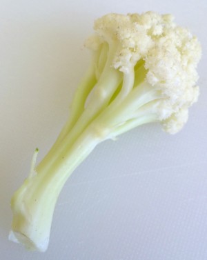 Floret of Flowering Cauliflower on ShockinglyDelicious.com