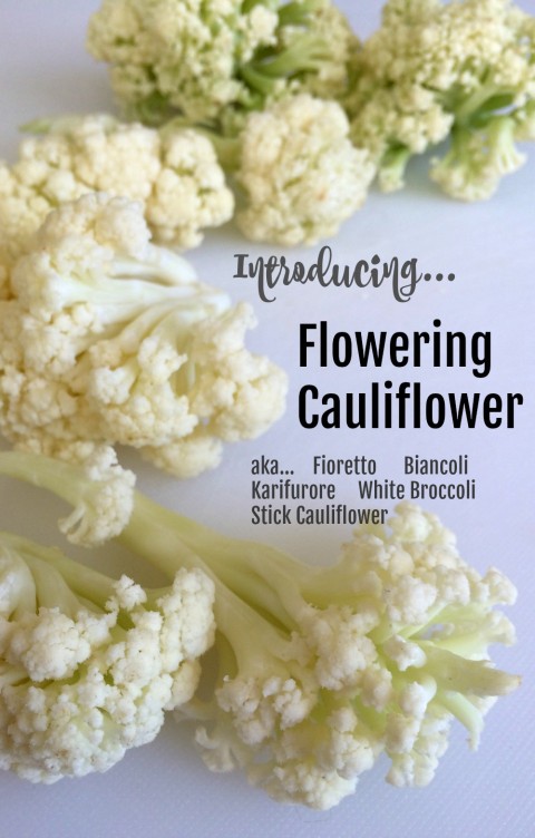 Flowering Cauliflower on ShockinglyDelicious.com