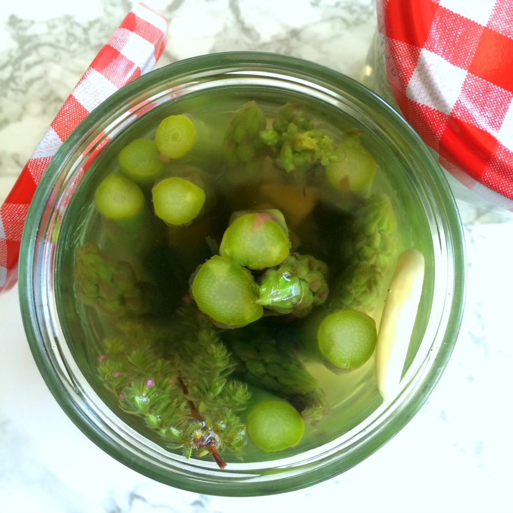 Refrigerator Pickled Asparagus in a jar looking down aerial view on ShockinglyDelicious.com