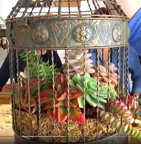 Bird cage made by Cindie Flannigan