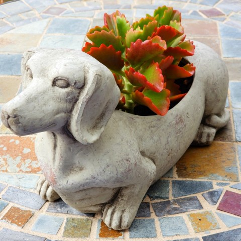 Dachshund succulent planter