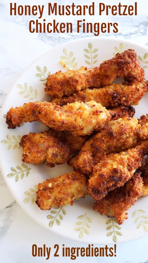 2-Ingredient Honey Mustard Pretzel Chicken Fingers on Shockingly Delicious