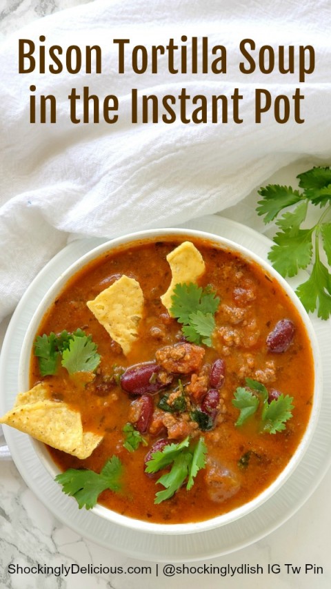 Bison Tortilla Soup in the Instant Pot recipe on ShockinglyDelicious.com