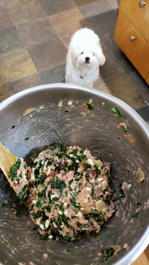 Turkey mix in the bowl for Turkey Spanakopita Burgers on ShockinglyDelicious.com