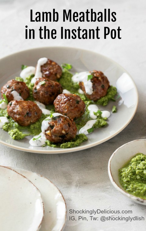 Indian Lamb Meatballs in the IP