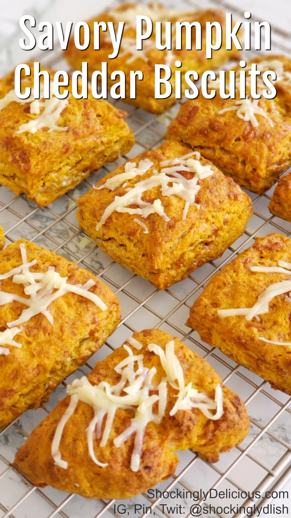 Savory Pumpkin Cheddar Biscuits Recipe on ShockinglyDelicious.com