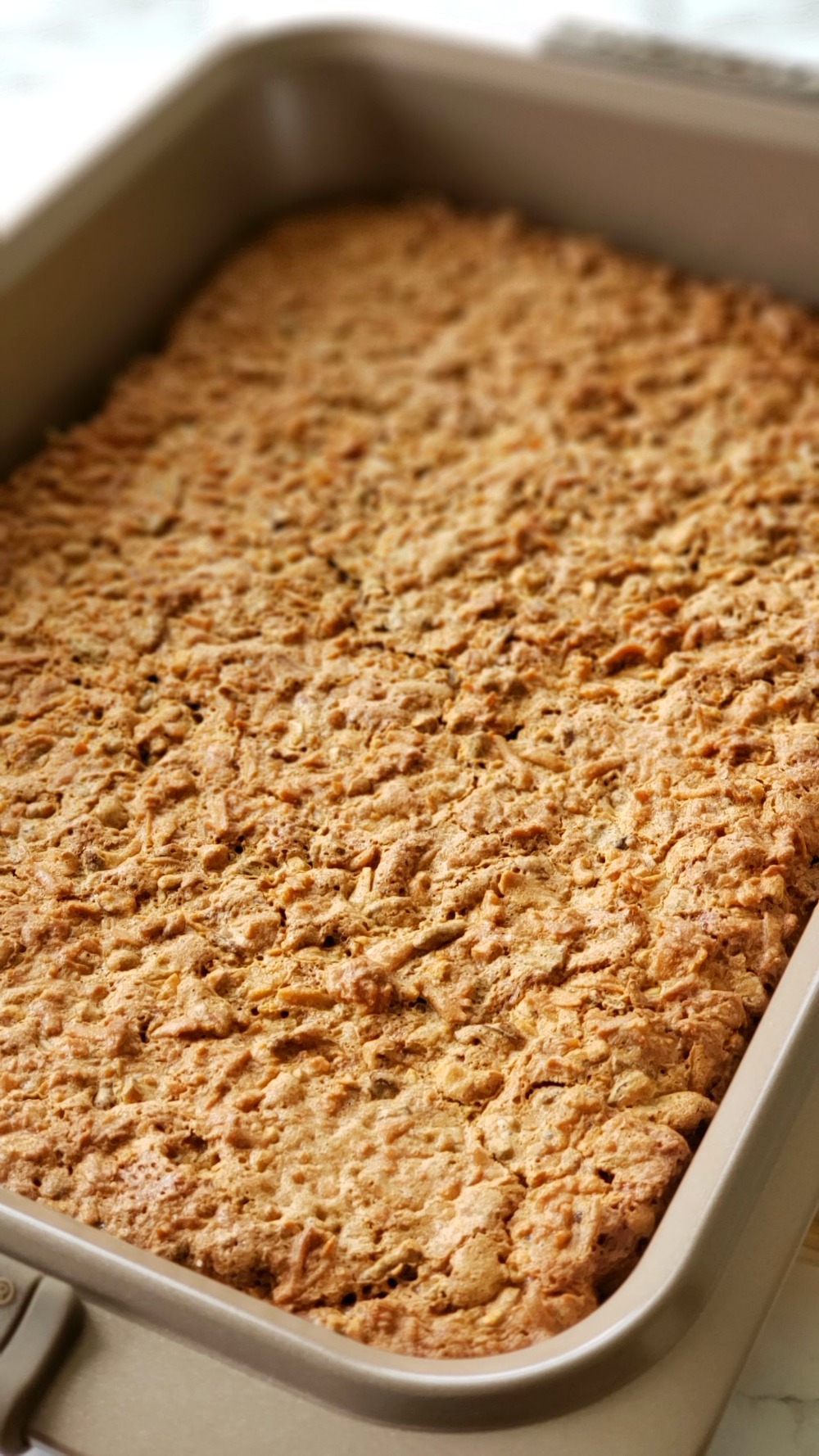 Coconut bars baked and out of the oven, sitting in a pan on counter