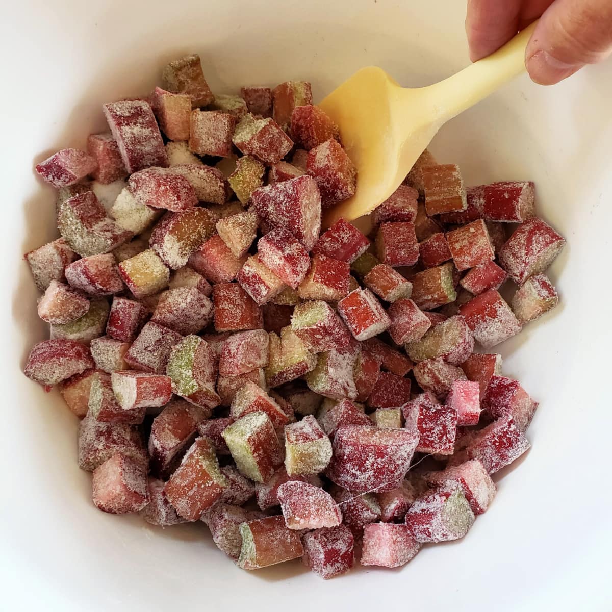 Chopped red and green rhubarb in a white bowl with sugar and flour on ShockinglyDelicious.com