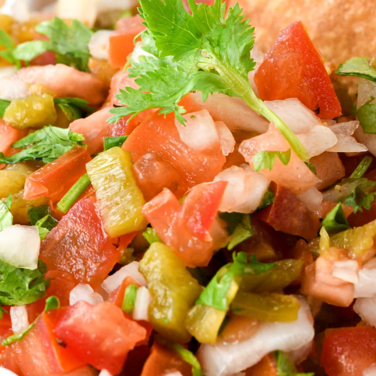 Extreme closeup showing chunky vegetables in Hatch Pepper Pico De Gallo ShockinglyDelicious.com