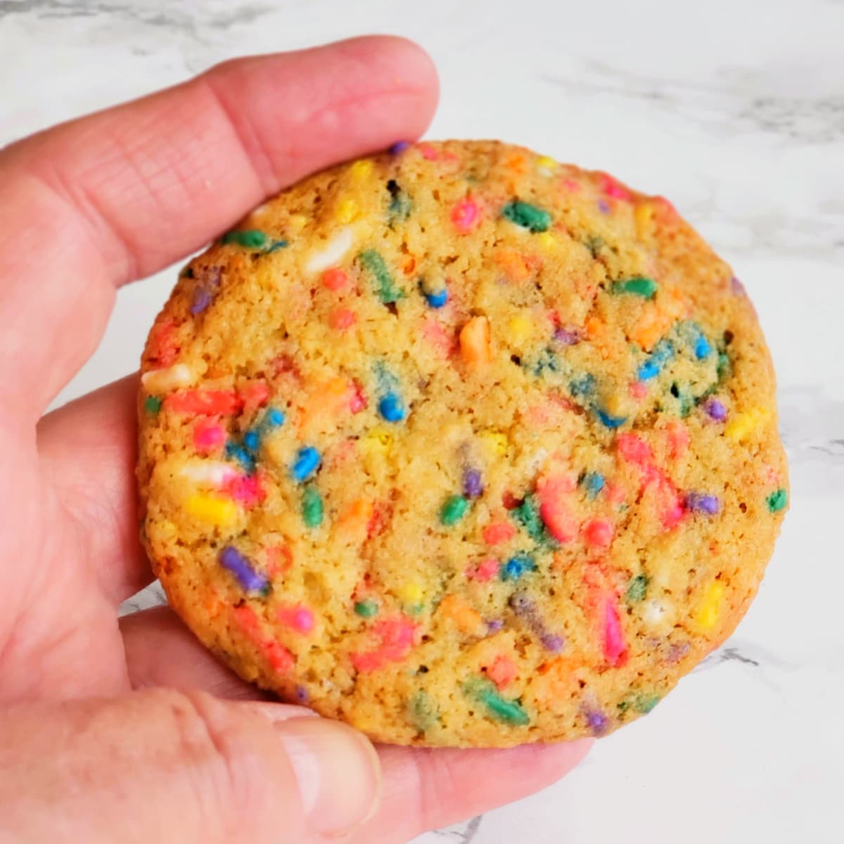 A hand holding a Confetti Sprinkle Cookie flat