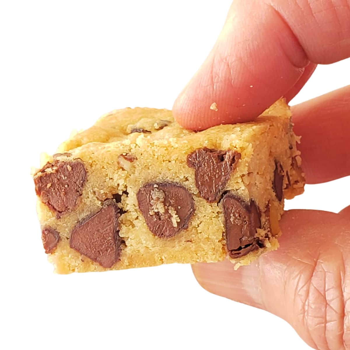 Hand holding a Chocolate Chip Pecan Shortbread Cookie on ShockinglyDelicious.com