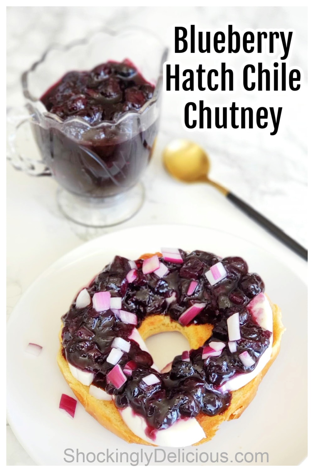 Blueberry Hatch Chile Chutney on a toasted bagel half with spoon and a glass pitcher of chutney in the background