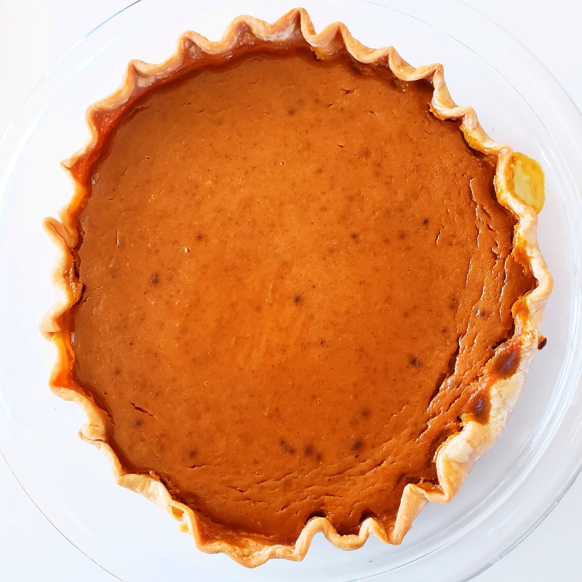 Brown colored Eggnog Pumpkin Pie baked and out of the oven on a white background