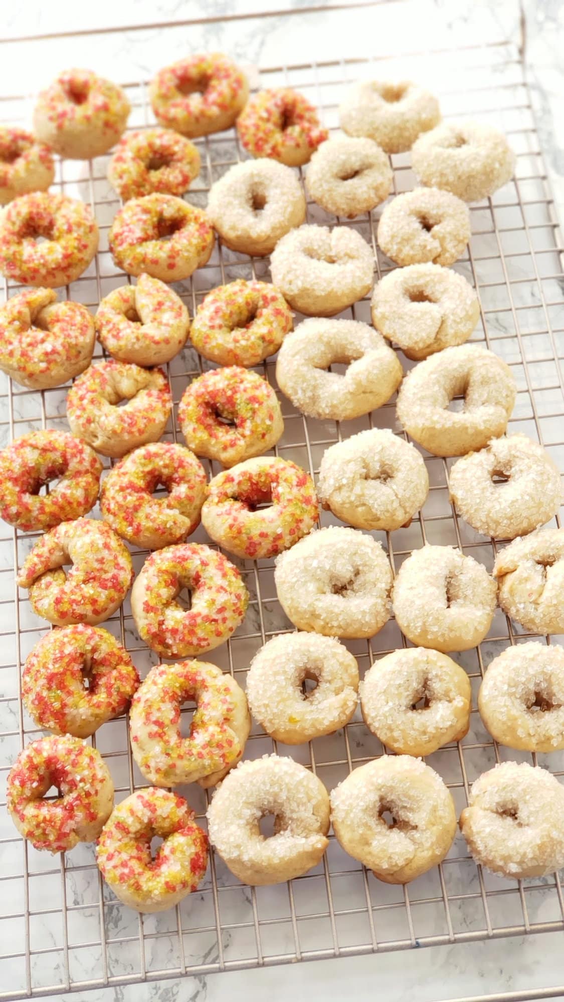 40 Italian Sweet Taralli cookies on a cooling rack 