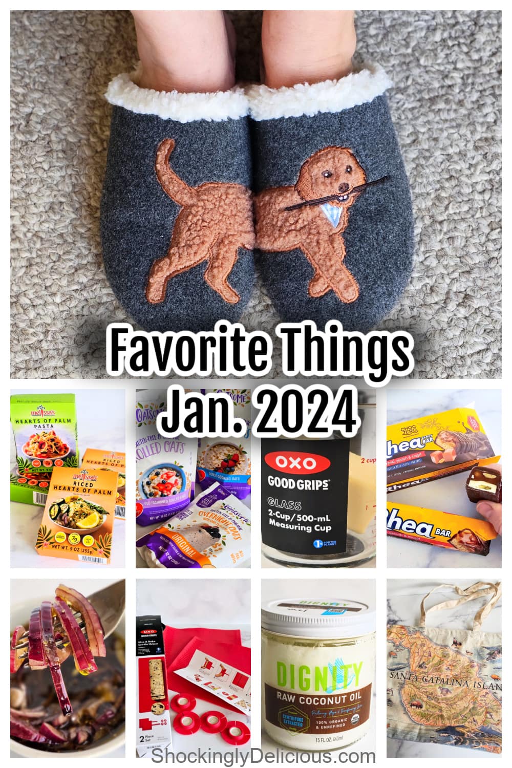 Favorite Things Jan 2024 Pinterest Pin 9 photos of favorite things for Jan 2024
