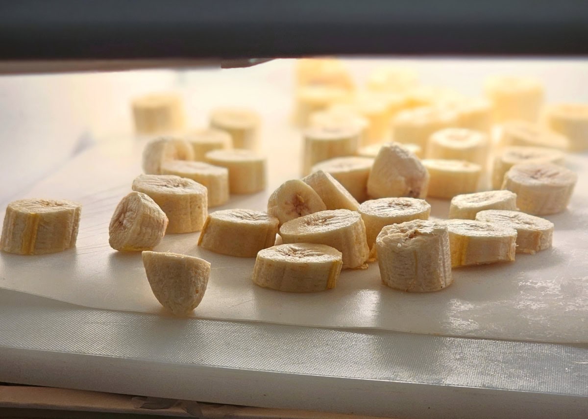 Banana slices laid out flat on a white board in the freezer, illuminated from the freezer light